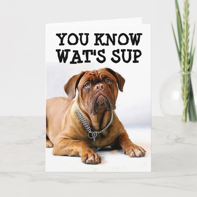 MASTIFF DOG BIRTHDAY FUNNY CARD KARTE (Vorderseite)