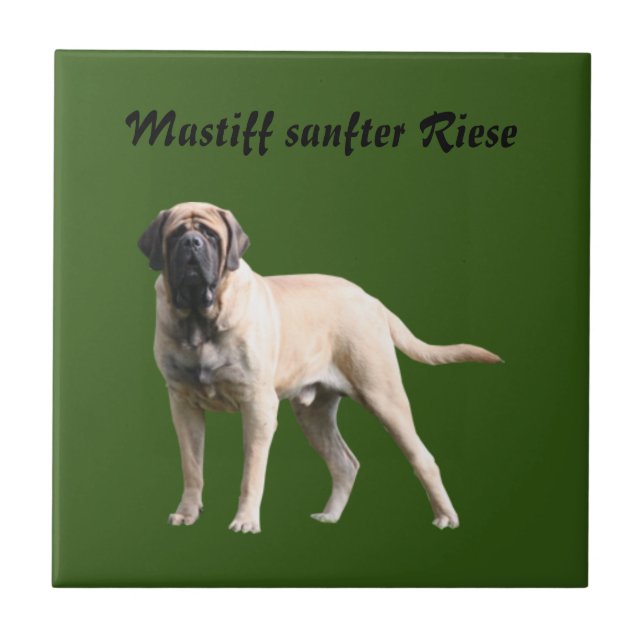 Mastiff  englische Dogge Fliese (Vorderseite)