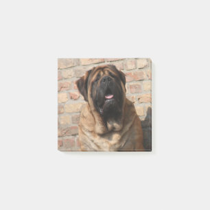 Mastiff englische Dogge Post-it Klebezettel