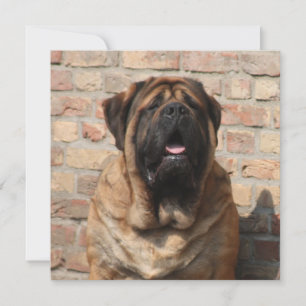 Mastiff englische Dogge Vatertag Einladung