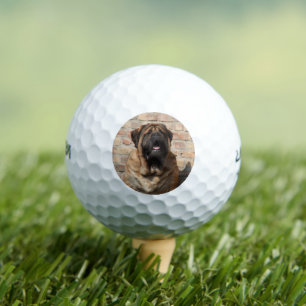 Mastiff englische Dogge Vatertag Golfball
