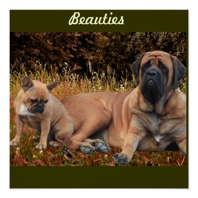 Mastiff englische Dogge Vatertag Poster (Vorderseite)