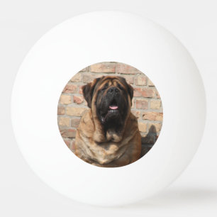 Mastiff englische Dogge Vatertag Tischtennisball