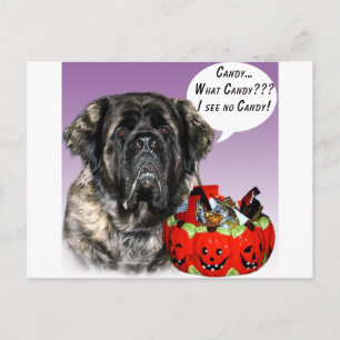 Mastiff (flauschig) Halloween Candy Postkarte