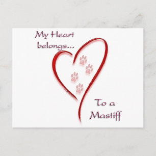 Mastiff Heart Belongs Postkarte