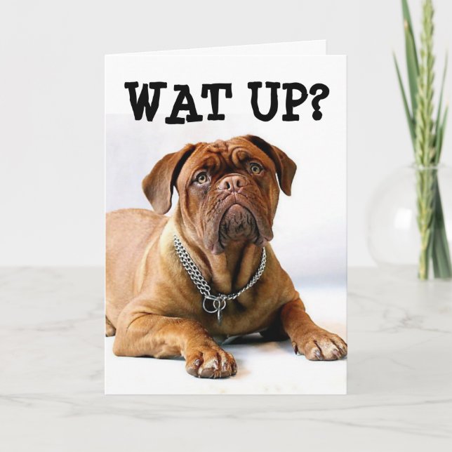 MASTIFF HUND DENKEN SIE AN IHRE FUNNY CARD KARTE (Vorderseite)