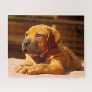 Mastiff Hund. Puzzle