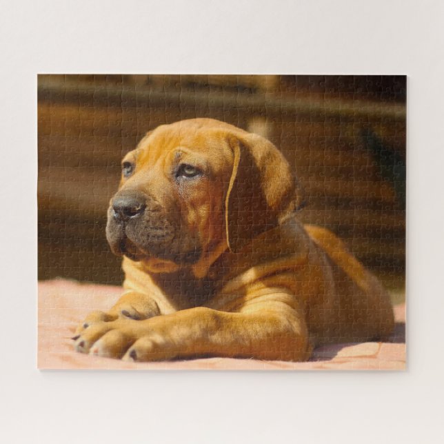 Mastiff Hund. Puzzle (Horizontal)