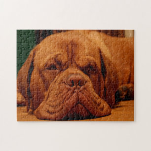 Mastiff-Hund. Puzzle