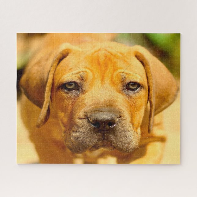 Mastiff Hund. Puzzle (Horizontal)