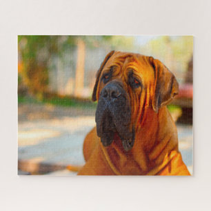 Mastiff Hund. Puzzle