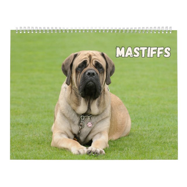Mastiff Hunde, Mastiffs Kalender (Titelbild)