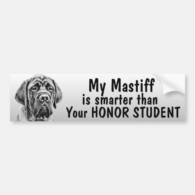 Mastiff intelligenter als Ihr Ehrenstudent - Autoaufkleber (Vorne)