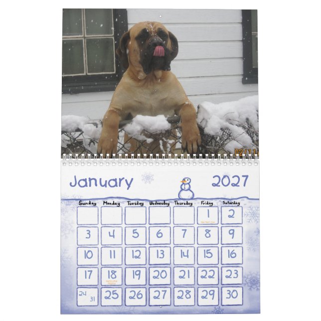 Mastiff-Kalender Kalender (Jan 2027)