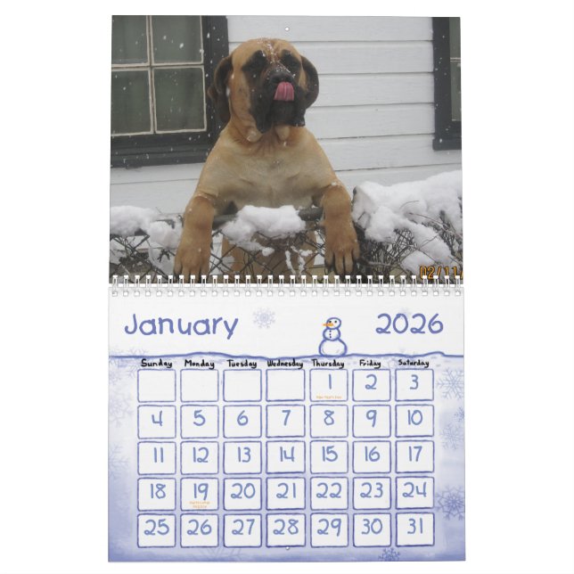 Mastiff-Kalender Kalender (Jan 2026)