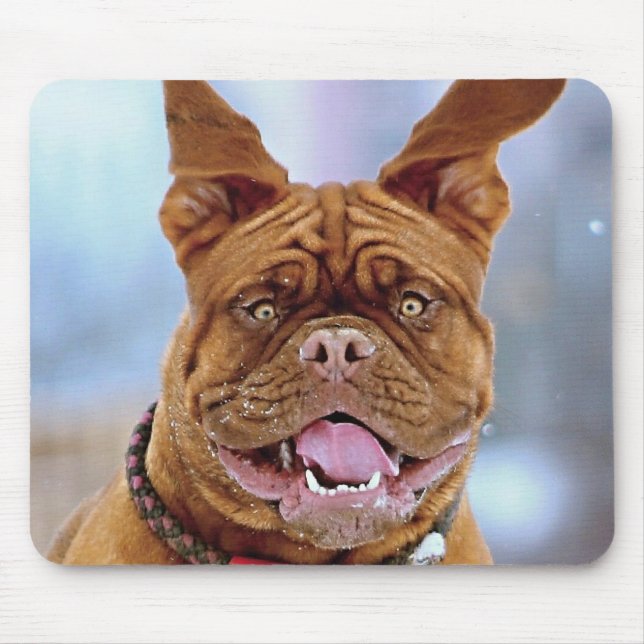 Mastiff Plus Mousepad (Vorne)