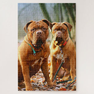 Mastiff Plus Puzzle