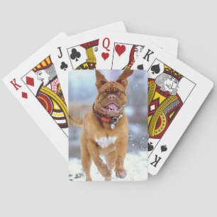 Mastiff Plus Spielkarten