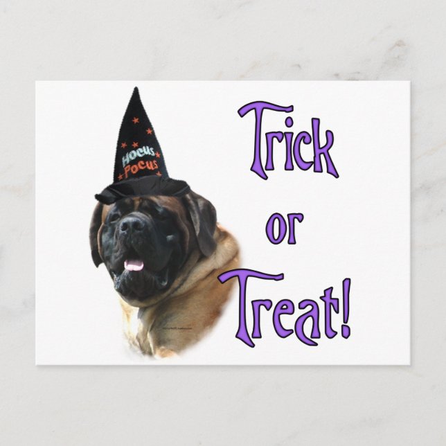 Mastiff-Trick Postkarte (Vorderseite)
