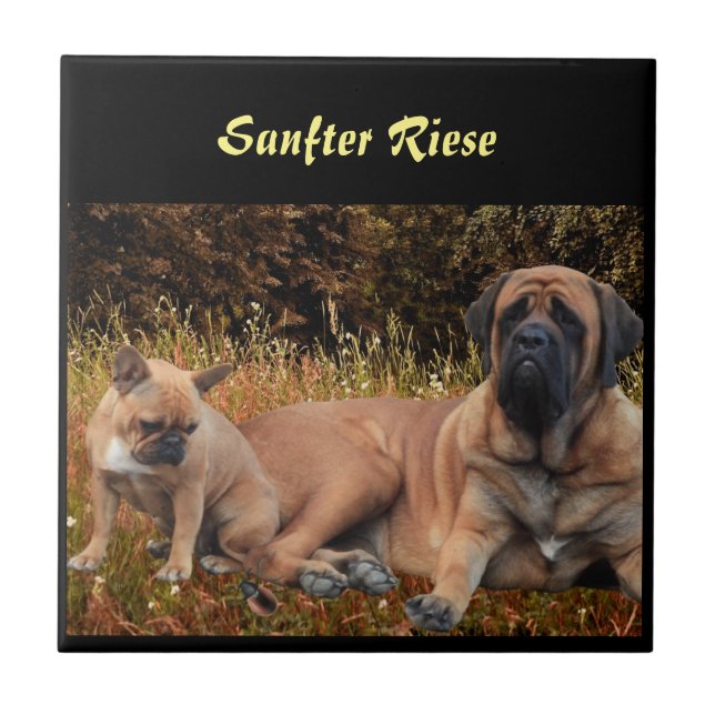Mastiff  Urlaub English Mastiff Fliese (Vorderseite)