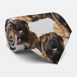 Mastiff Urlaub English Mastiff Krawatte