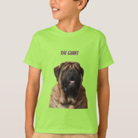 Mastiff Urlaub English Mastiff