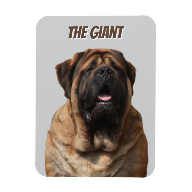 Mastiff Vacation English Mastiff Magnet (Vertikal)