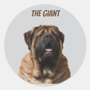 Mastiff Vacation English Mastiff Runder Aufkleber