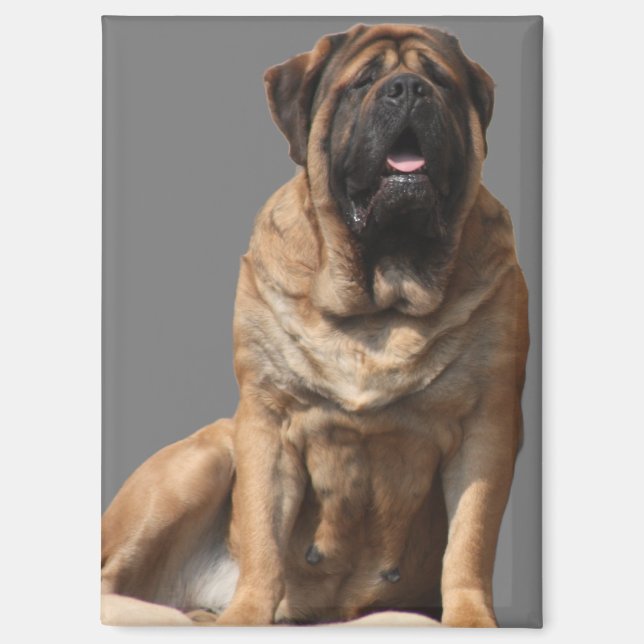 Mastiff Vatertag Best Friends  Magnet (Vorderseite)