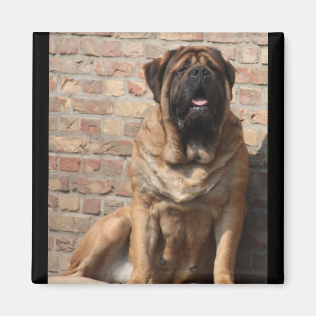 Mastiff Vatertag Best Friends  Magnet (Vorne)