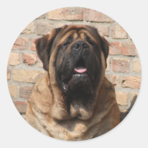Mastiff Vatertag Best Friends Runder Aufkleber