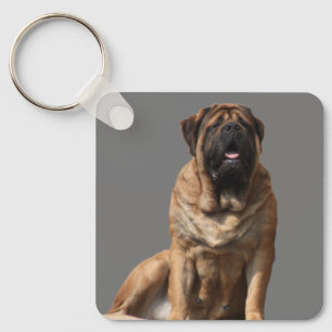 Mastiff Vatertag Best Friends Schlüsselanhänger