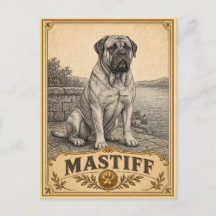 Mastiff, Vintage Heritage Hund