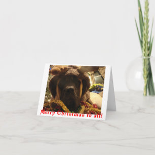 Mastiff-Weihnachtskarte Feiertagskarte