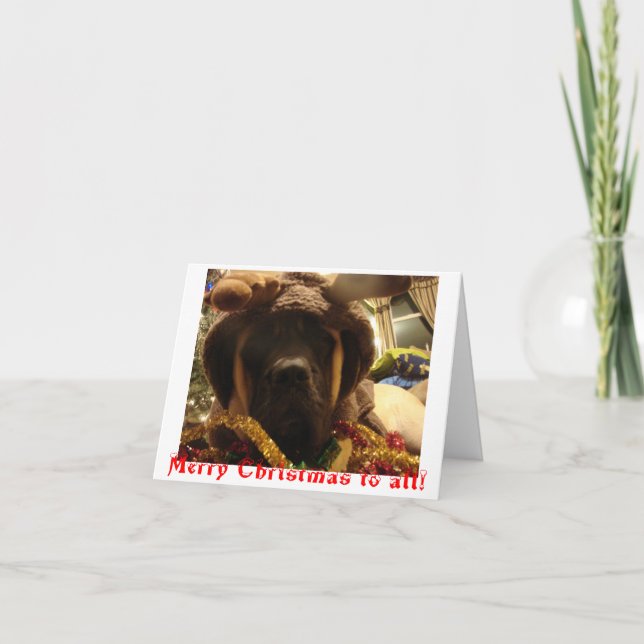 Mastiff-Weihnachtskarte Feiertagskarte (Vorderseite)