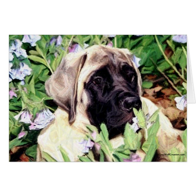 Mastiff Welpe in Bluebells (Vorderseite (Horizontal))