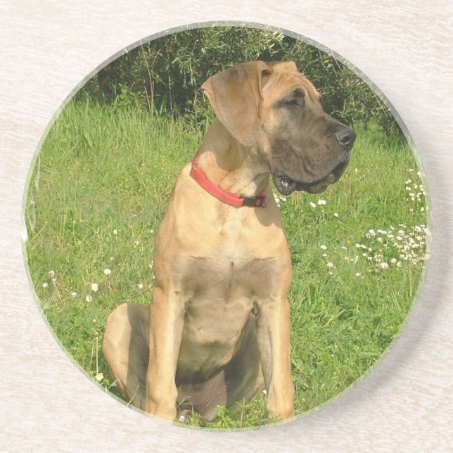 Mastiff-Welpen-HundeUntersetzer Untersetzer (Vorne)
