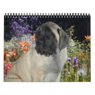 Mastiff Welppies Calendar Kalender