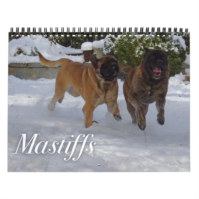 Mastiffs Kalender (Titelbild)
