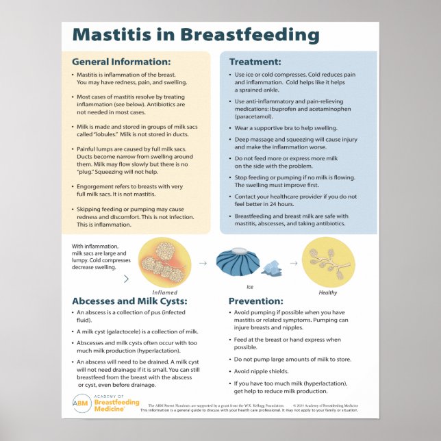 Mastitis in der Stillzeit Poster (Englisch) (Vorne)