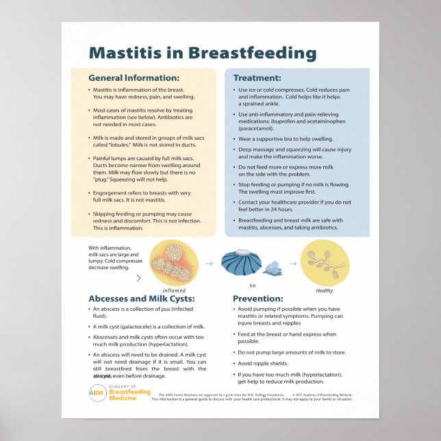 Mastitis in der Stillzeit Poster (Englisch) (Vorne)