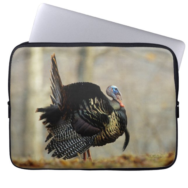 Masttruthühner, Illinois Laptopschutzhülle (Vorderseite)