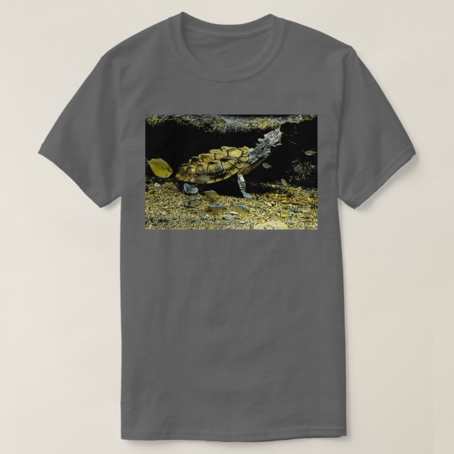 Mata Mata Turtle T-Shirt (Design vorne)