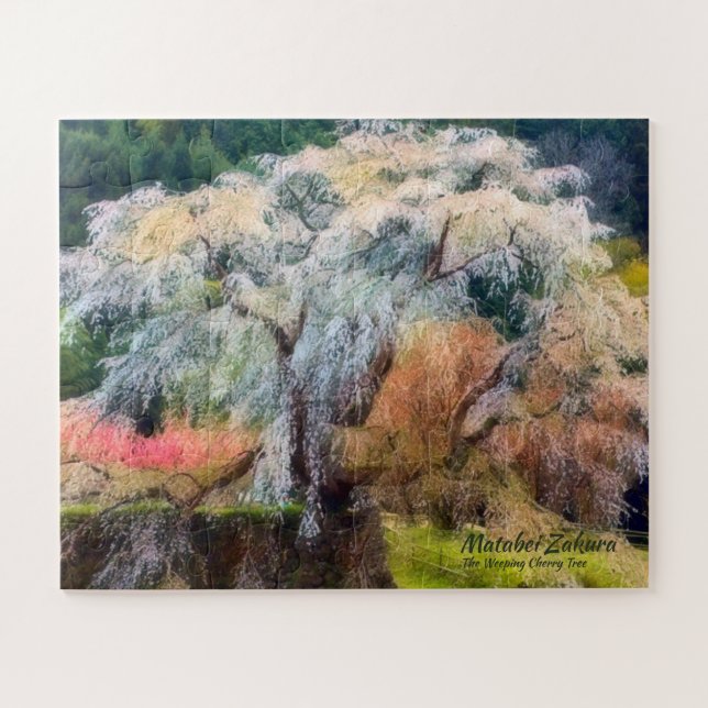 Matabei-Zakura: Kirschbaum wischen Puzzle (Horizontal)