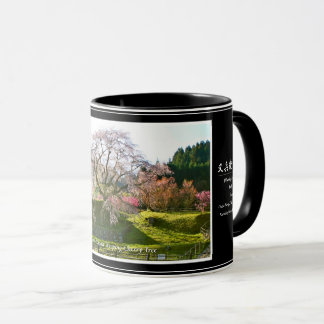 Matabei-Zakura Weeping Cherry Tree Tasse