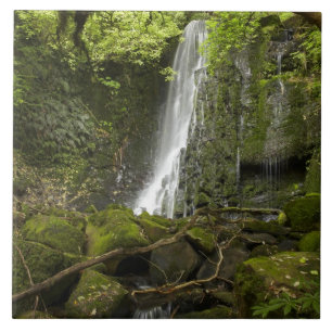 Matai Falls, Catlins, South Otago Fliese