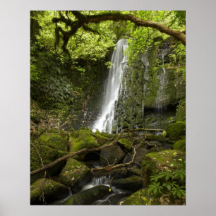 Matai Falls, Catlins, South Otago Poster