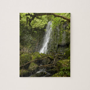Matai Falls, Catlins, South Otago Puzzle
