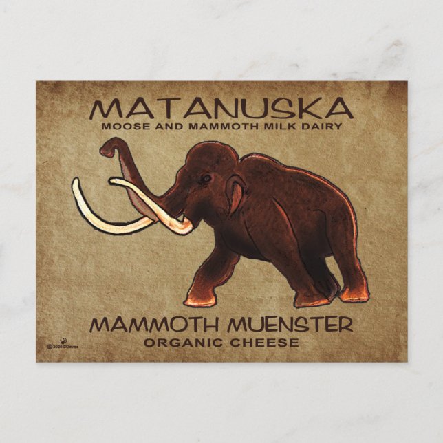 Matanuska Mammoth Münster Cheese Postkarte (Vorderseite)