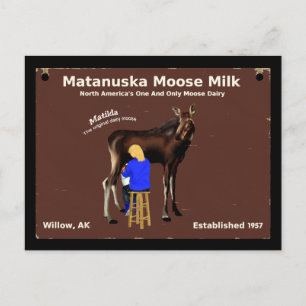 Matanuska Moose Milk Postkarte